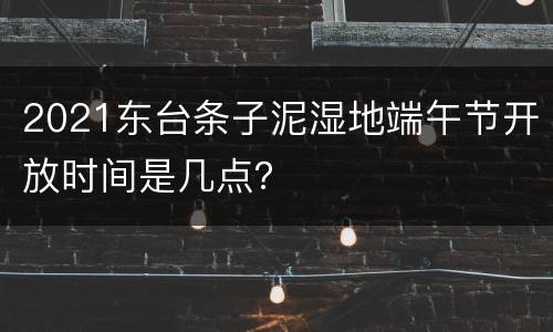 2021东台条子泥湿地端午节开放时间是几点？