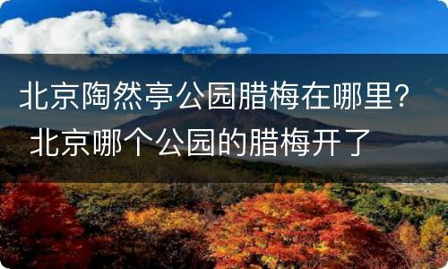 北京陶然亭公园腊梅在哪里？ 北京哪个公园的腊梅开了