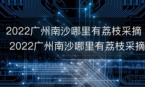 2022广州南沙哪里有荔枝采摘 2022广州南沙哪里有荔枝采摘的