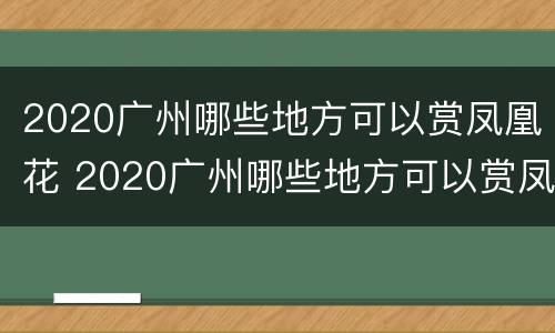 2020广州哪些地方可以赏凤凰花 2020广州哪些地方可以赏凤凰花呀