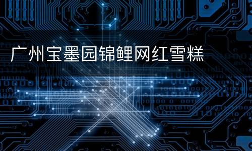 广州宝墨园锦鲤网红雪糕