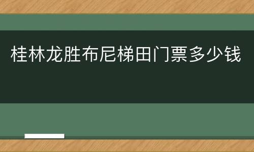 桂林龙胜布尼梯田门票多少钱