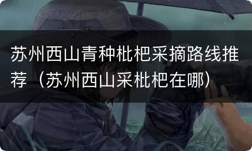 苏州西山青种枇杷采摘路线推荐（苏州西山采枇杷在哪）