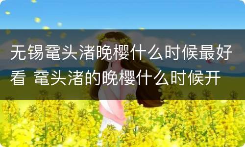 无锡鼋头渚晚樱什么时候最好看 鼋头渚的晚樱什么时候开