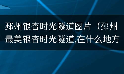 邳州银杏时光隧道图片（邳州最美银杏时光隧道,在什么地方）