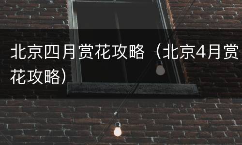 北京四月赏花攻略（北京4月赏花攻略）
