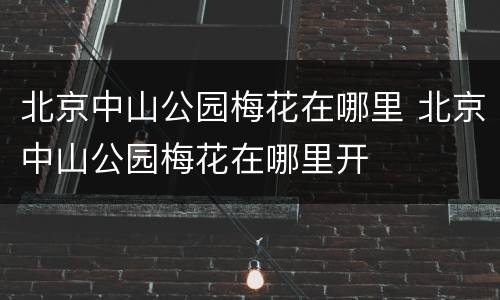 北京中山公园梅花在哪里 北京中山公园梅花在哪里开