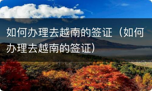 如何办理去越南的签证（如何办理去越南的签证）