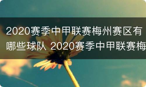 2020赛季中甲联赛梅州赛区有哪些球队 2020赛季中甲联赛梅州赛区有哪些球队比赛