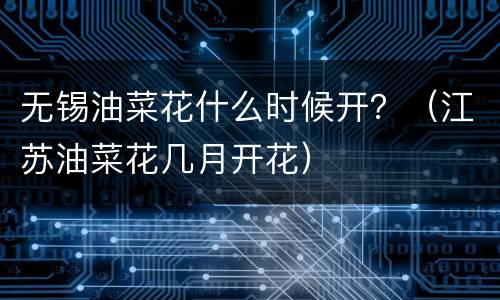 无锡油菜花什么时候开？（江苏油菜花几月开花）