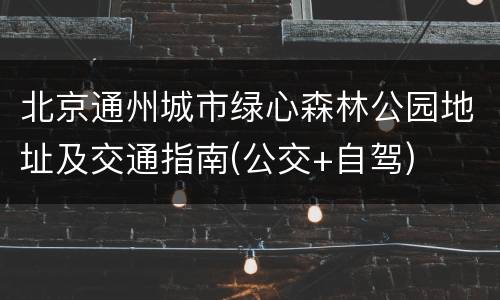 北京通州城市绿心森林公园地址及交通指南(公交+自驾)