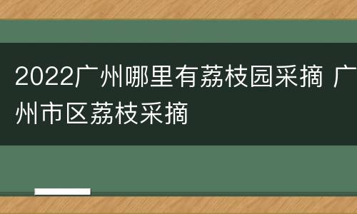 2022广州哪里有荔枝园采摘 广州市区荔枝采摘