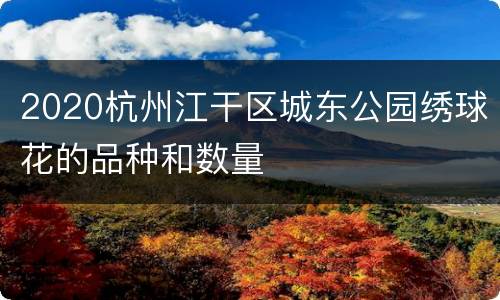 2020杭州江干区城东公园绣球花的品种和数量