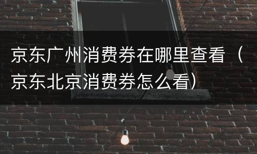 京东广州消费券在哪里查看（京东北京消费券怎么看）