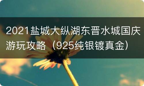 2021盐城大纵湖东晋水城国庆游玩攻略（925纯银镀真金）