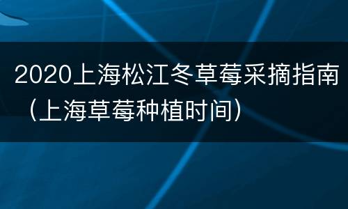 2020上海松江冬草莓采摘指南（上海草莓种植时间）