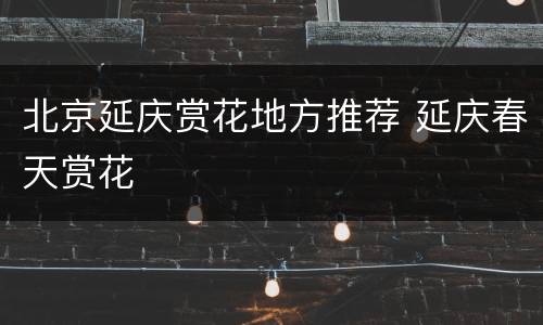 北京延庆赏花地方推荐 延庆春天赏花