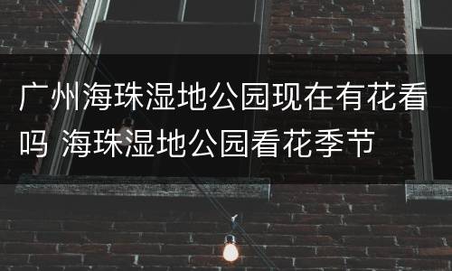 广州海珠湿地公园现在有花看吗 海珠湿地公园看花季节