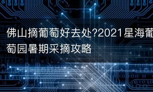 佛山摘葡萄好去处?2021星海葡萄园暑期采摘攻略