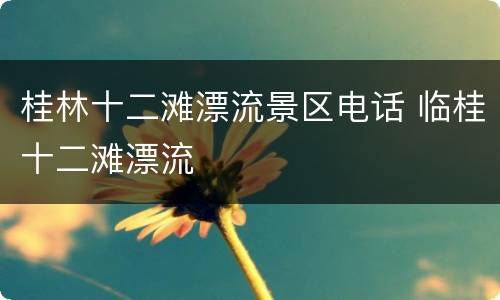 桂林十二滩漂流景区电话 临桂十二滩漂流