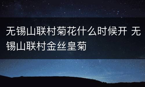 无锡山联村菊花什么时候开 无锡山联村金丝皇菊