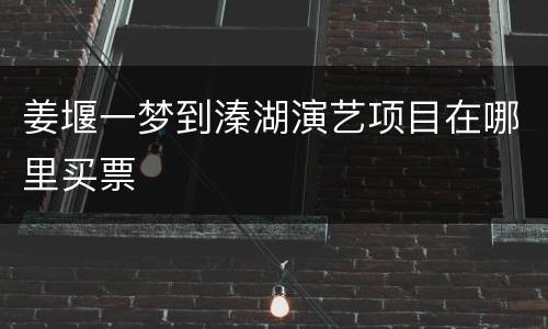 姜堰一梦到溱湖演艺项目在哪里买票