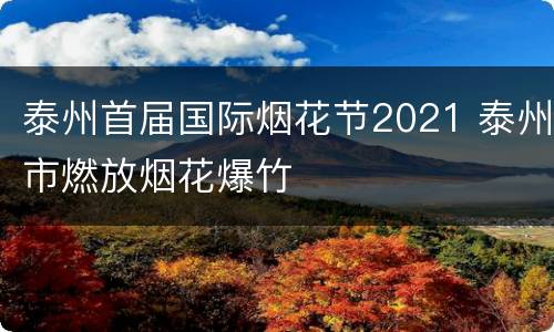 泰州首届国际烟花节2021 泰州市燃放烟花爆竹