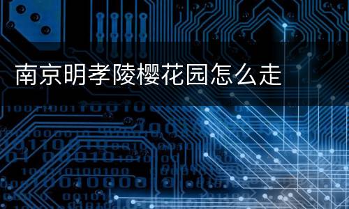 南京明孝陵樱花园怎么走
