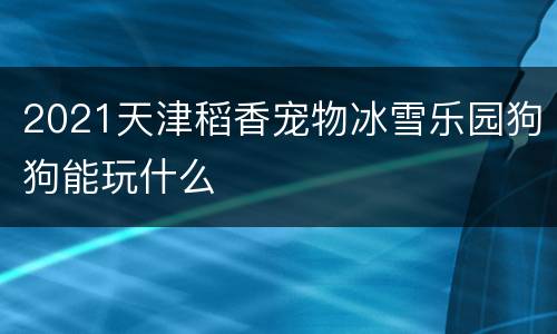 2021天津稻香宠物冰雪乐园狗狗能玩什么