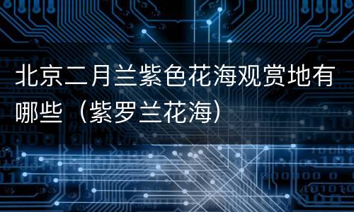 北京二月兰紫色花海观赏地有哪些（紫罗兰花海）