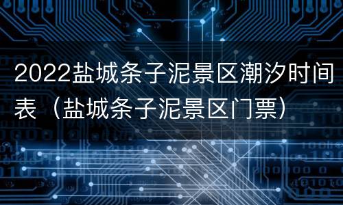 2022盐城条子泥景区潮汐时间表（盐城条子泥景区门票）