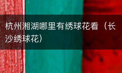 杭州湘湖哪里有绣球花看（长沙绣球花）