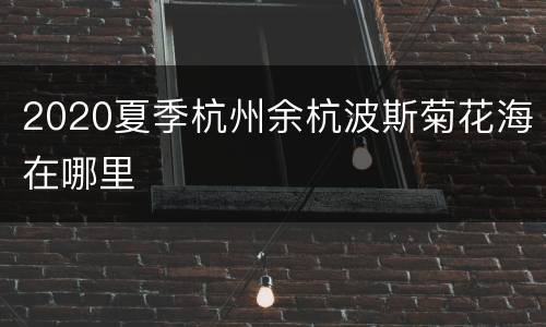 2020夏季杭州余杭波斯菊花海在哪里