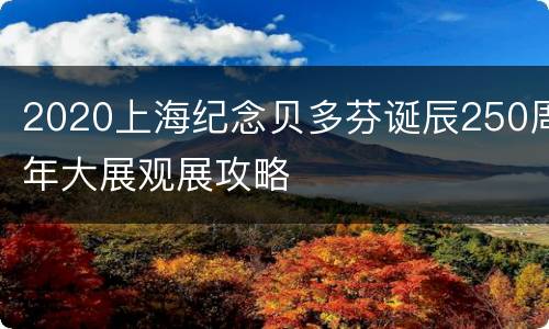 2020上海纪念贝多芬诞辰250周年大展观展攻略