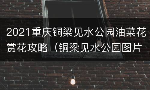 2021重庆铜梁见水公园油菜花赏花攻略（铜梁见水公园图片）