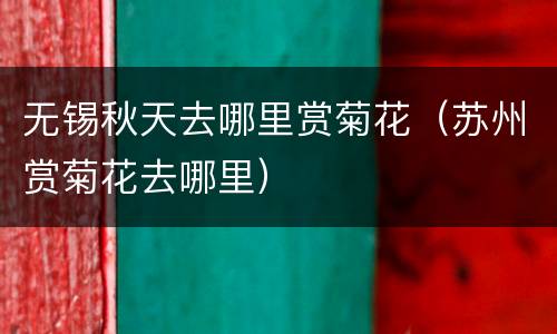 无锡秋天去哪里赏菊花（苏州赏菊花去哪里）