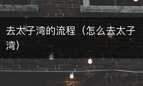 去太子湾的流程（怎么去太子湾）
