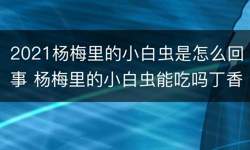 2021杨梅里的小白虫是怎么回事 杨梅里的小白虫能吃吗丁香医生