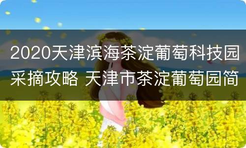 2020天津滨海茶淀葡萄科技园采摘攻略 天津市茶淀葡萄园简介