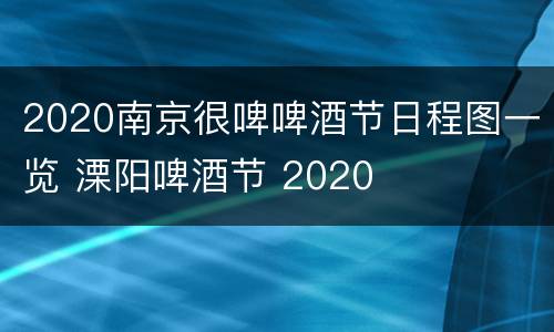 2020南京很啤啤酒节日程图一览 溧阳啤酒节 2020