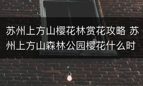 苏州上方山樱花林赏花攻略 苏州上方山森林公园樱花什么时候开