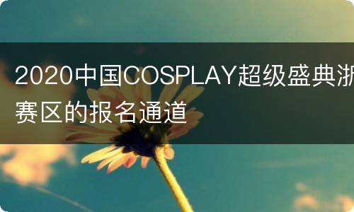 2020中国COSPLAY超级盛典浙江赛区的报名通道
