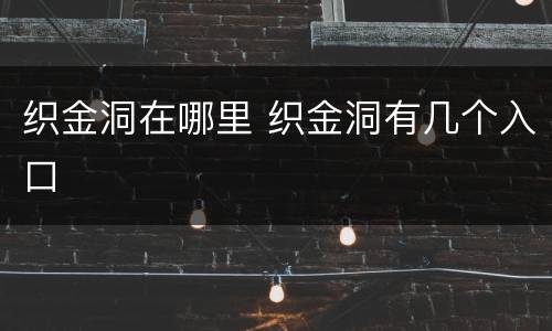 织金洞在哪里 织金洞有几个入口