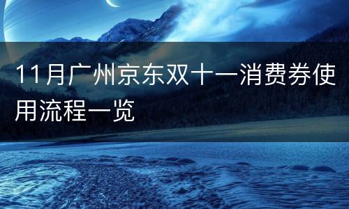 11月广州京东双十一消费券使用流程一览