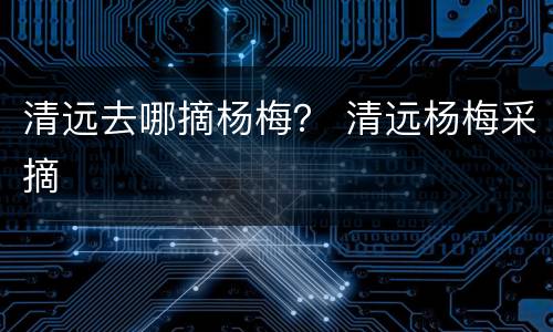 清远去哪摘杨梅？ 清远杨梅采摘