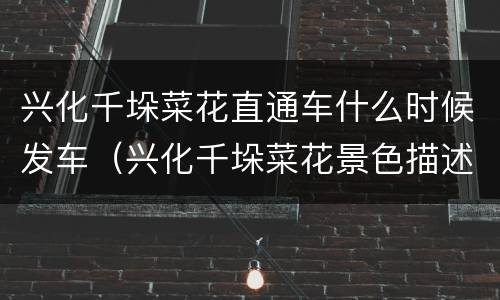 兴化千垛菜花直通车什么时候发车（兴化千垛菜花景色描述）
