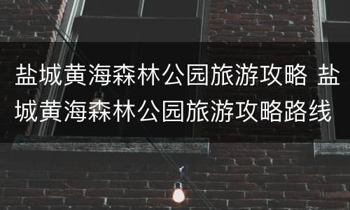 盐城黄海森林公园旅游攻略 盐城黄海森林公园旅游攻略路线