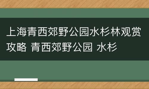 上海青西郊野公园水杉林观赏攻略 青西郊野公园 水杉