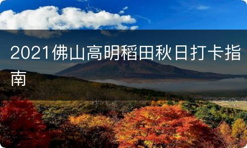 2021佛山高明稻田秋日打卡指南