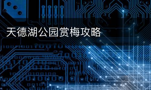 天德湖公园赏梅攻略